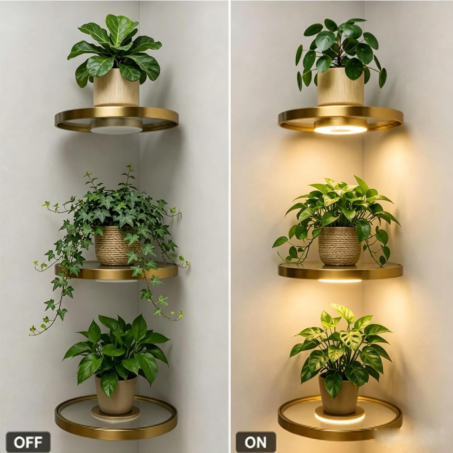 Étagère LED Sans Fil - cordless led shelf light off on